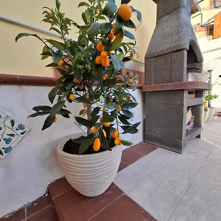 La Terrazza Di Annina - Vista Mare & Relax Appartement